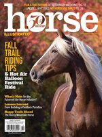 Horse Illustrated